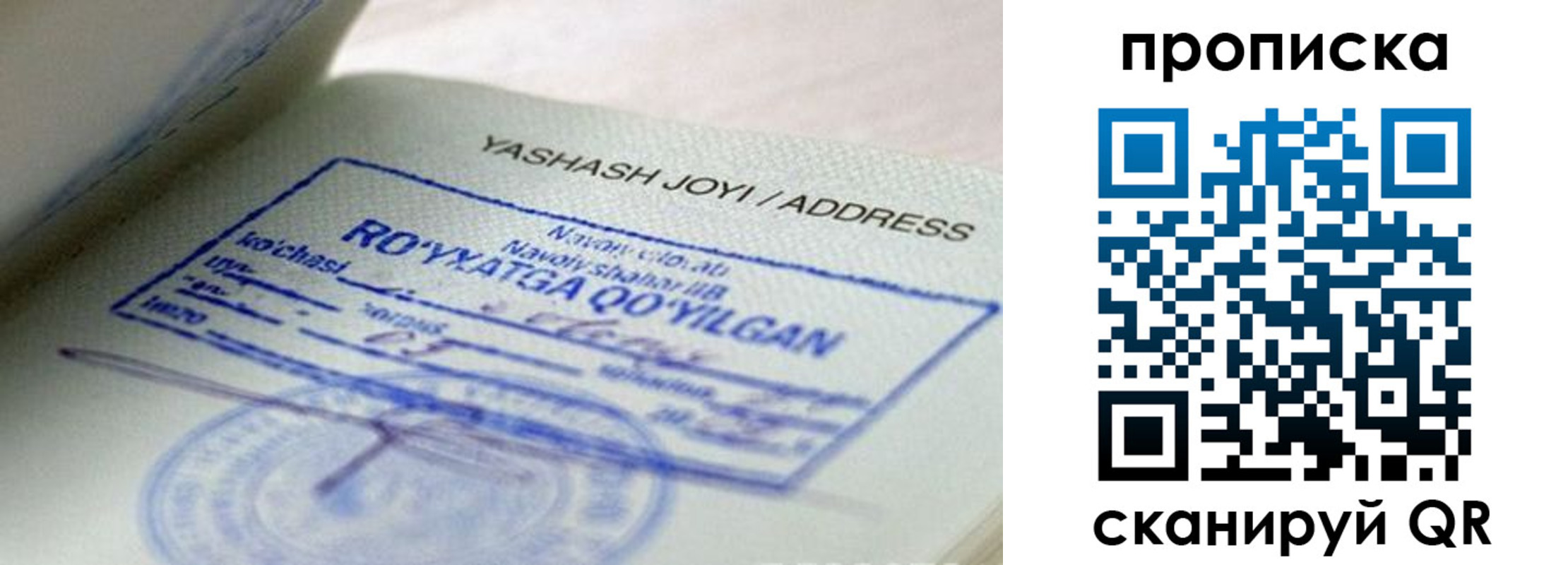 временная регистрация надежно в Апатитах