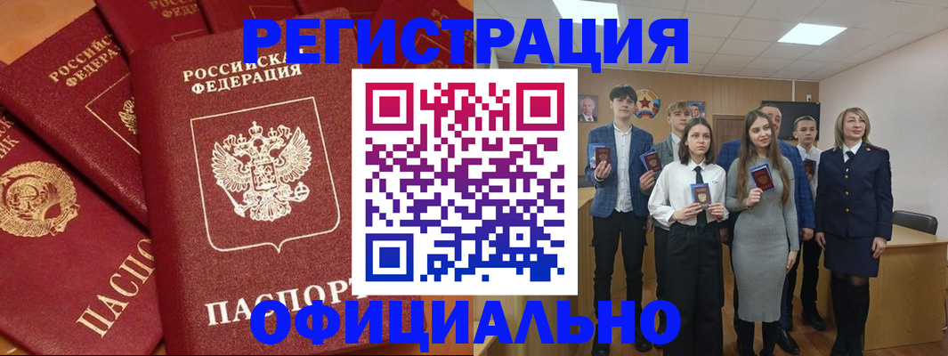 прописка гарантия в Апатитах